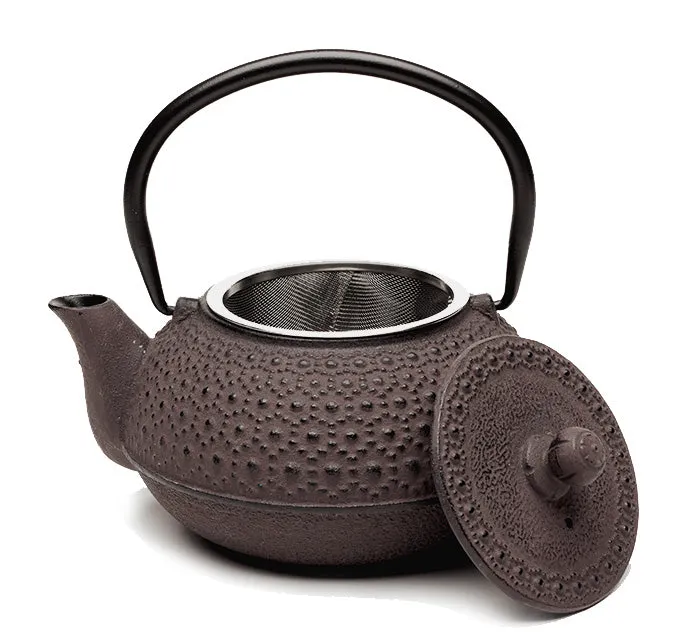 Tetsubin Cast Iron Teapot