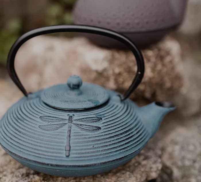 Tetsubin Cast Iron Teapot