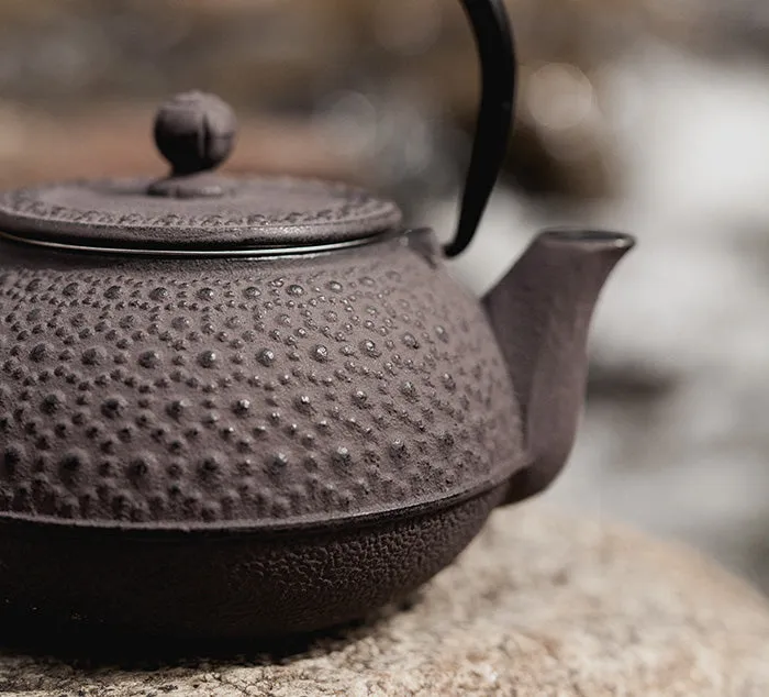 Tetsubin Cast Iron Teapot