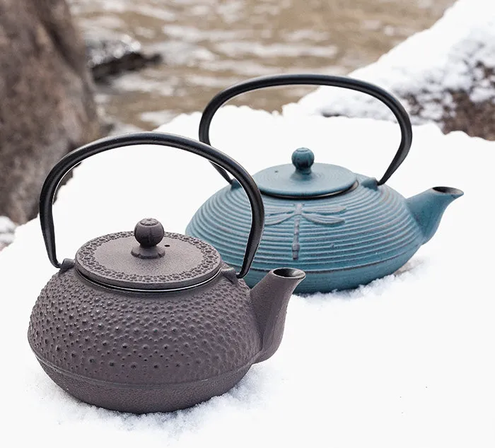 Tetsubin Cast Iron Teapot